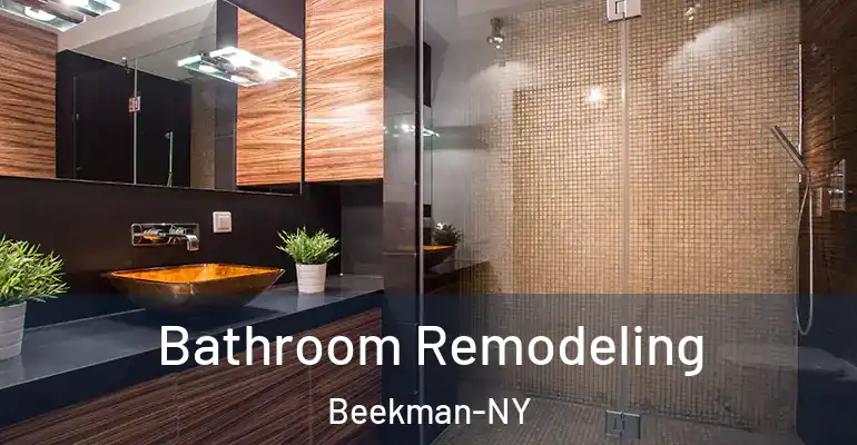 inner Bathroom imggen Bathroom Remodeling Beekman-NY