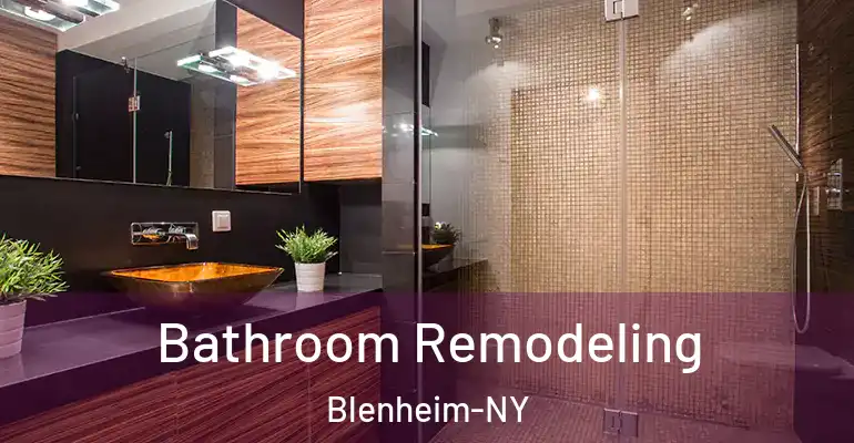 inner Bathroom imggen Bathroom Remodeling Blenheim-NY