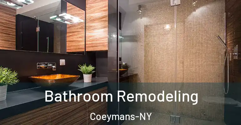 inner Bathroom imggen Bathroom Remodeling Coeymans-NY
