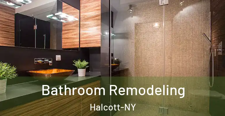 inner Bathroom imggen Bathroom Remodeling Halcott-NY