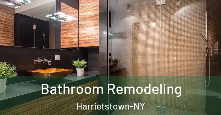 inner Bathroom imggen Bathroom Remodeling Harrietstown-NY