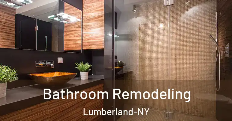 inner Bathroom imggen Bathroom Remodeling Lumberland-NY