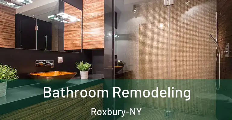 inner Bathroom imggen Bathroom Remodeling Roxbury-NY