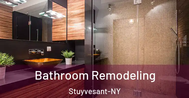inner Bathroom imggen Bathroom Remodeling Stuyvesant-NY