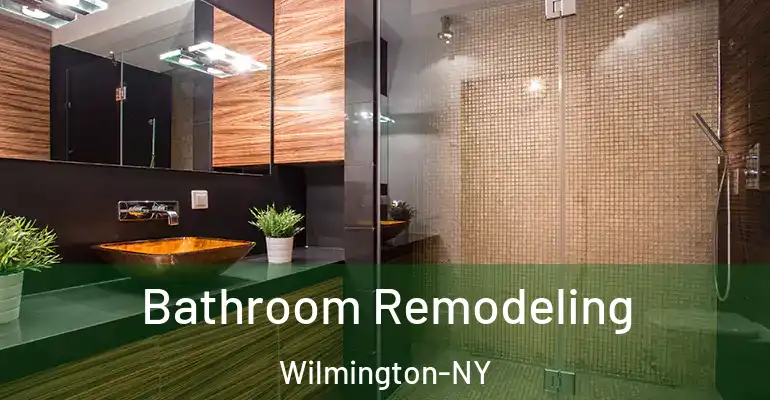 inner Bathroom imggen Bathroom Remodeling Wilmington-NY