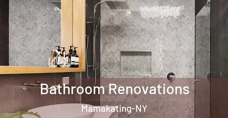 inner Bathroom imggen Bathroom Renovations Mamakating-NY