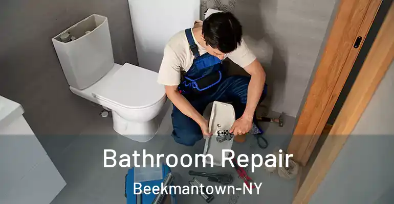 inner Bathroom imggen Bathroom Repair Beekmantown-NY