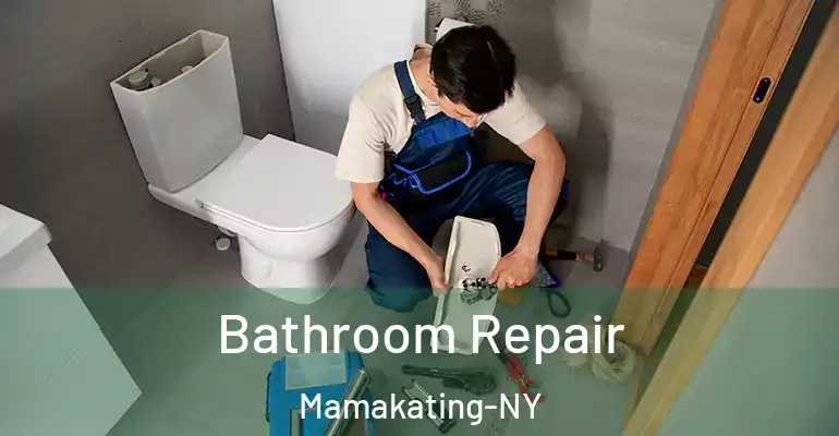 inner Bathroom imggen Bathroom Repair Mamakating-NY