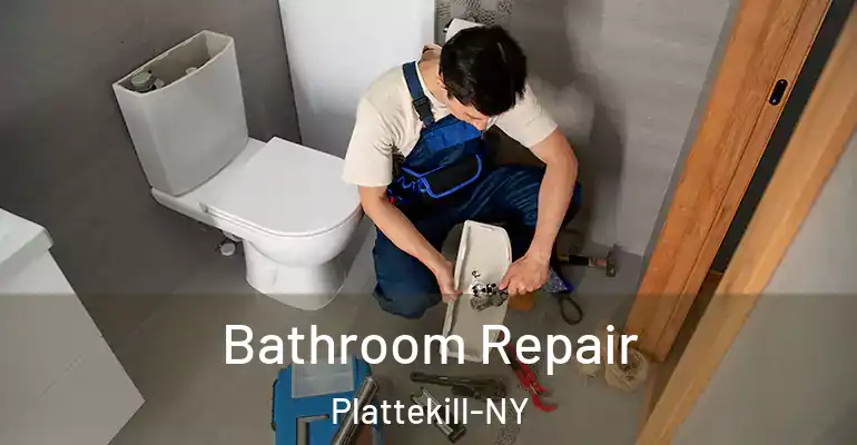 inner Bathroom imggen Bathroom Repair Plattekill-NY