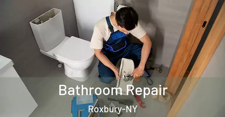 inner Bathroom imggen Bathroom Repair Roxbury-NY