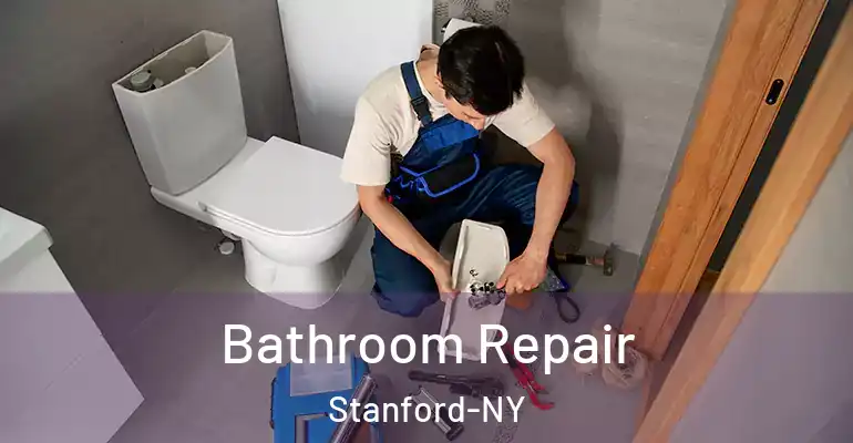 inner Bathroom imggen Bathroom Repair Stanford-NY