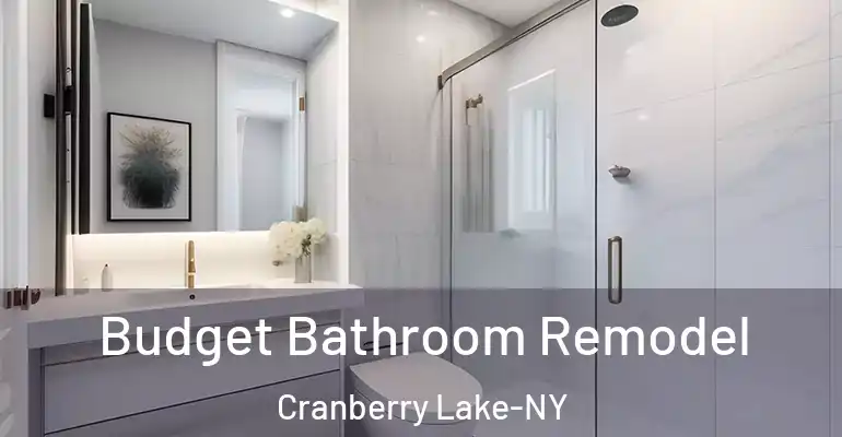 inner Bathroom imggen Budget Bathroom Remodel Cranberry Lake-NY