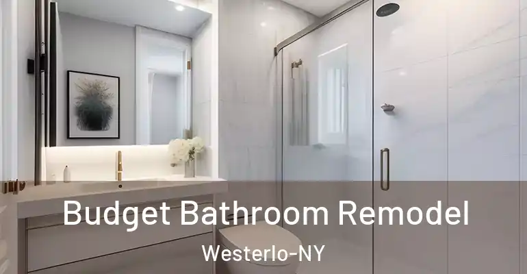 inner Bathroom imggen Budget Bathroom Remodel Westerlo-NY