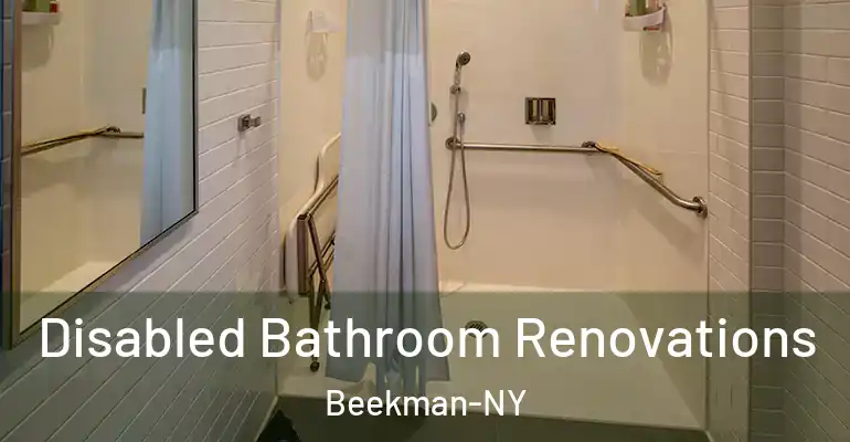 inner Bathroom imggen Disabled Bathroom Renovations Beekman-NY