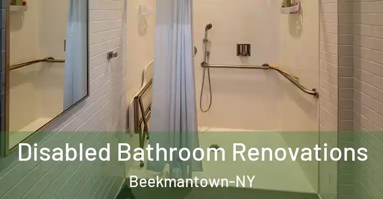 inner Bathroom imggen Disabled Bathroom Renovations Beekmantown-NY