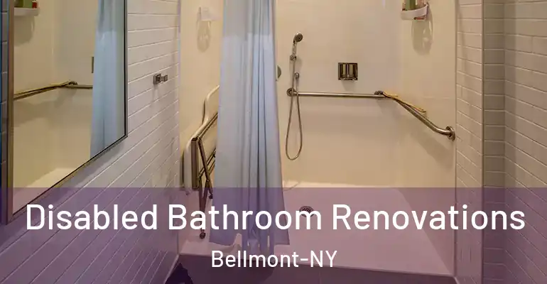 inner Bathroom imggen Disabled Bathroom Renovations Bellmont-NY