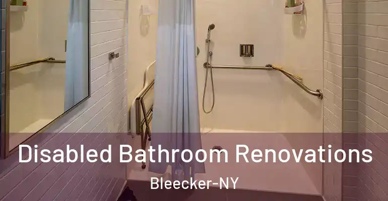 inner Bathroom imggen Disabled Bathroom Renovations Bleecker-NY