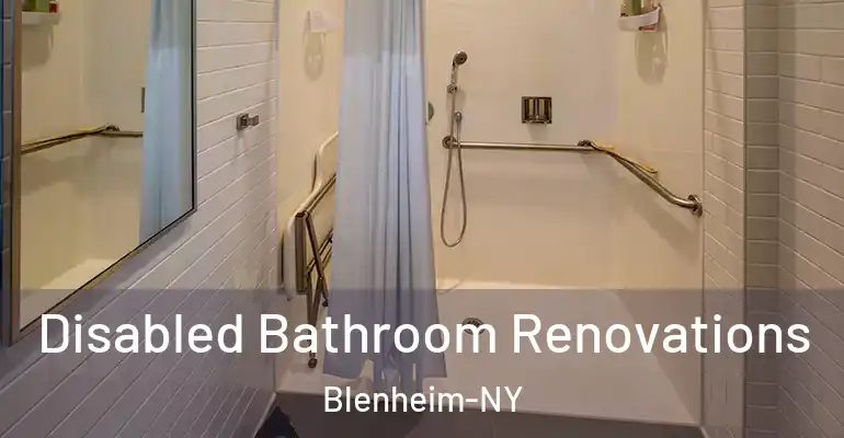 inner Bathroom imggen Disabled Bathroom Renovations Blenheim-NY