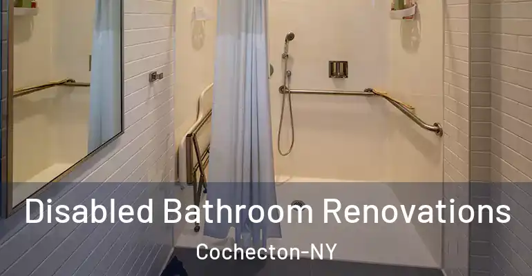 inner Bathroom imggen Disabled Bathroom Renovations Cochecton-NY