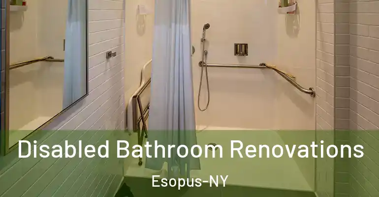 inner Bathroom imggen Disabled Bathroom Renovations Esopus-NY