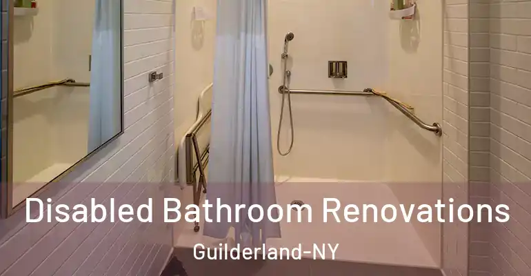 inner Bathroom imggen Disabled Bathroom Renovations Guilderland-NY