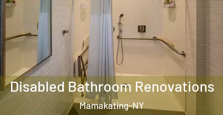 inner Bathroom imggen Disabled Bathroom Renovations Mamakating-NY