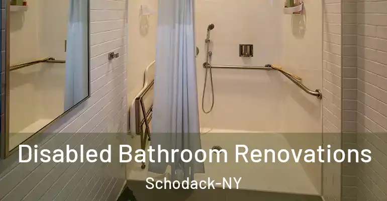 inner Bathroom imggen Disabled Bathroom Renovations Schodack-NY