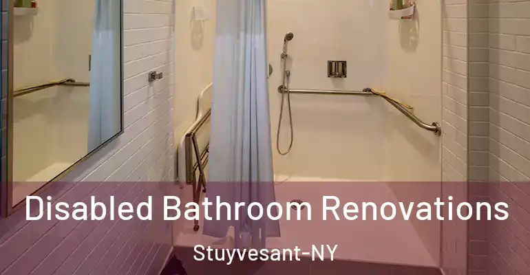 inner Bathroom imggen Disabled Bathroom Renovations Stuyvesant-NY
