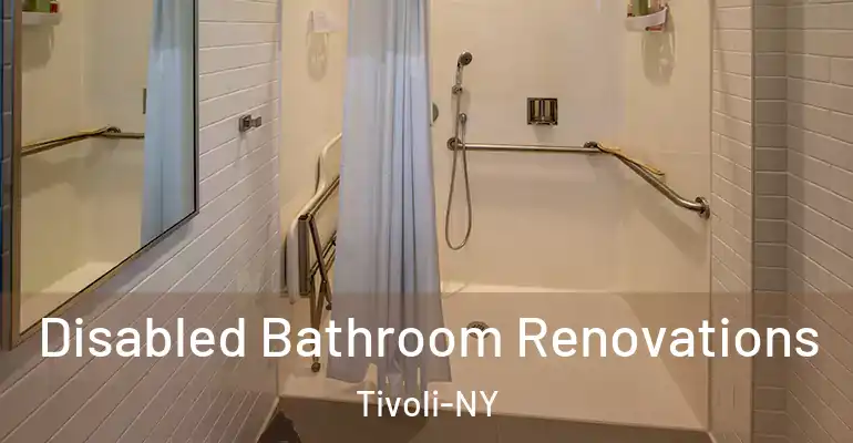 inner Bathroom imggen Disabled Bathroom Renovations Tivoli-NY