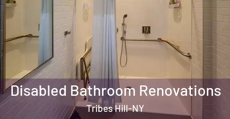 inner Bathroom imggen Disabled Bathroom Renovations Tribes Hill-NY