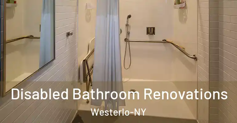 inner Bathroom imggen Disabled Bathroom Renovations Westerlo-NY