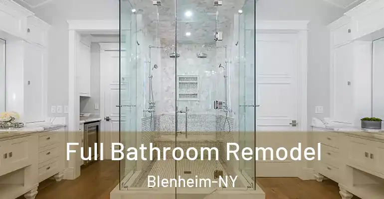 inner Bathroom imggen Full Bathroom Remodel Blenheim-NY