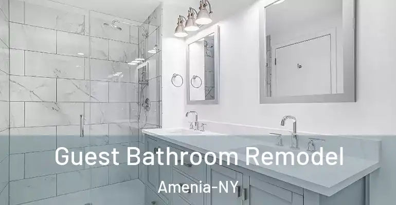 inner Bathroom imggen Guest Bathroom Remodel Amenia-NY