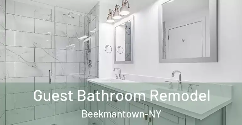 inner Bathroom imggen Guest Bathroom Remodel Beekmantown-NY