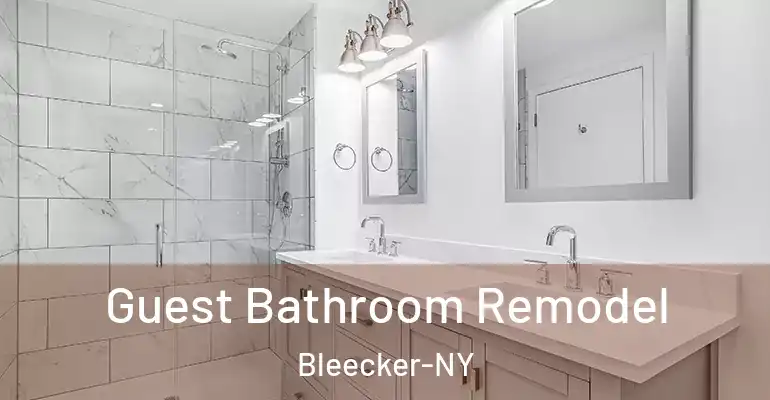 inner Bathroom imggen Guest Bathroom Remodel Bleecker-NY