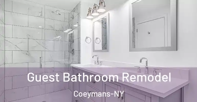 inner Bathroom imggen Guest Bathroom Remodel Coeymans-NY