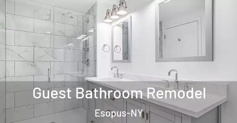 inner Bathroom imggen Guest Bathroom Remodel Esopus-NY