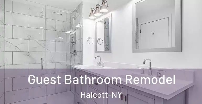 inner Bathroom imggen Guest Bathroom Remodel Halcott-NY