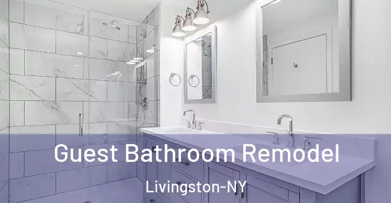 inner Bathroom imggen Guest Bathroom Remodel Livingston-NY