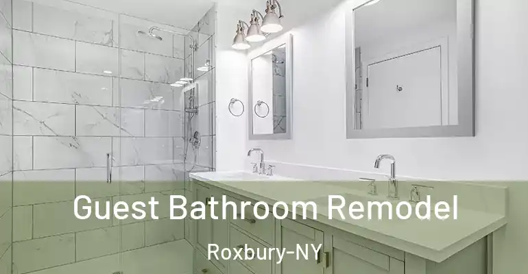 inner Bathroom imggen Guest Bathroom Remodel Roxbury-NY