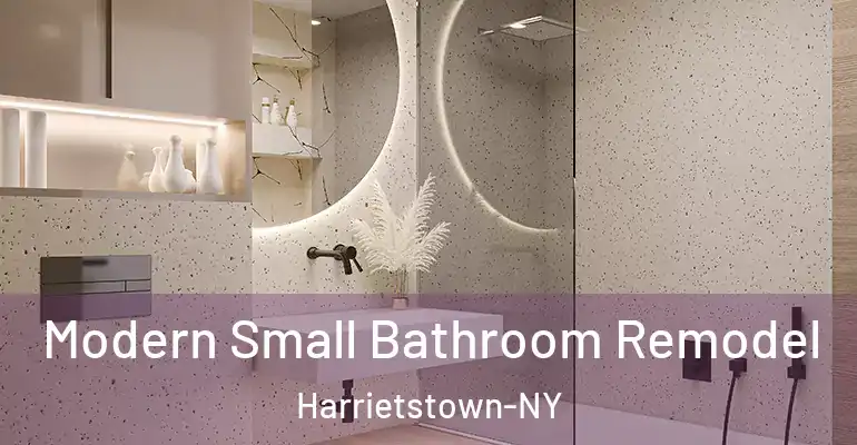 inner Bathroom imggen Modern Small Bathroom Remodel Harrietstown-NY
