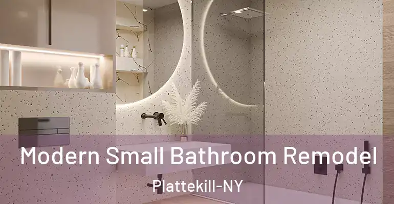 inner Bathroom imggen Modern Small Bathroom Remodel Plattekill-NY