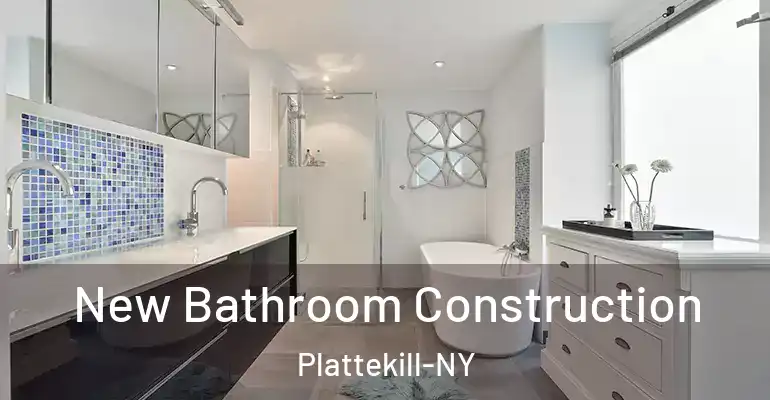 inner Bathroom imggen New Bathroom Construction Plattekill-NY