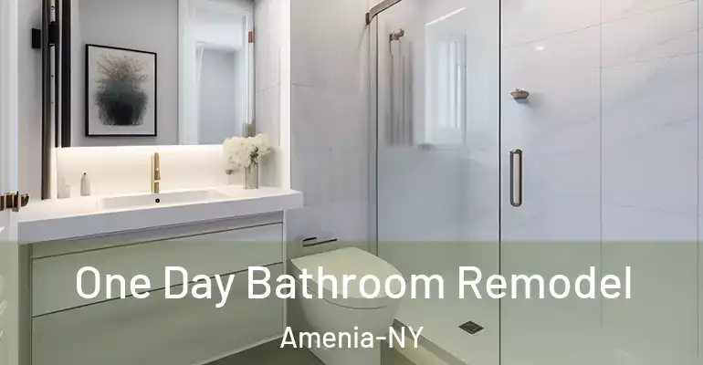 inner Bathroom imggen One Day Bathroom Remodel Amenia-NY