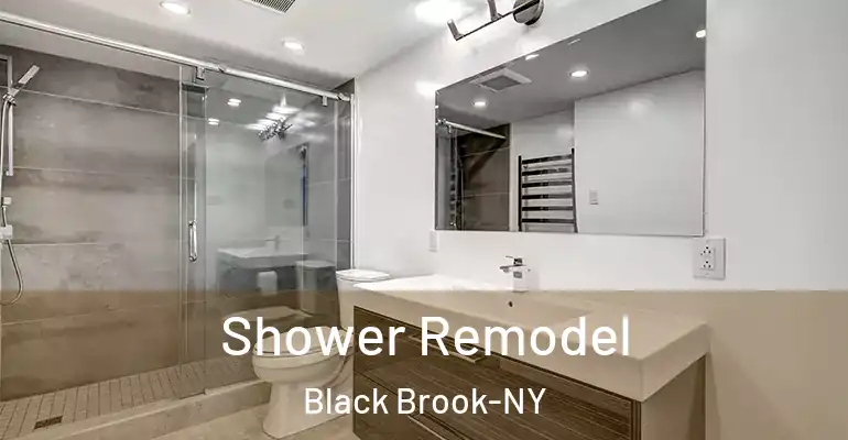 inner Bathroom imggen Shower Remodel Black Brook-NY