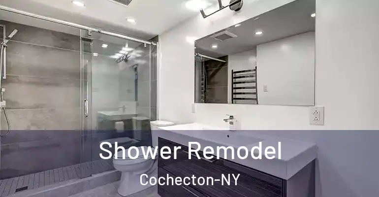 inner Bathroom imggen Shower Remodel Cochecton-NY