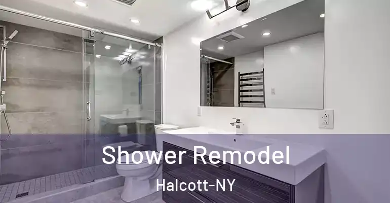inner Bathroom imggen Shower Remodel Halcott-NY