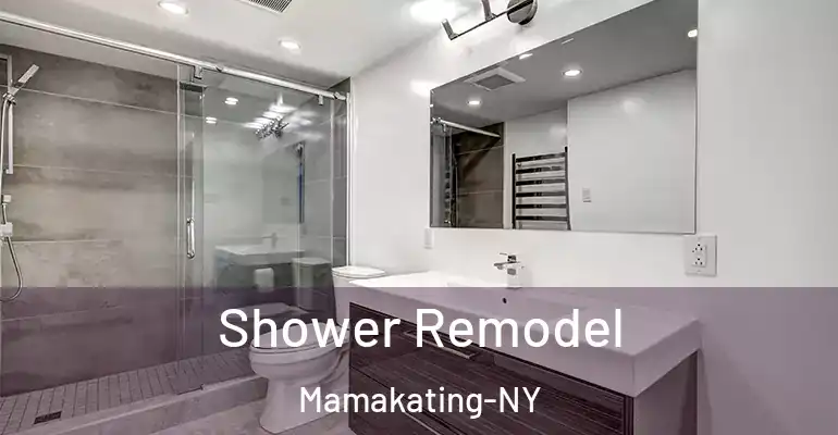 inner Bathroom imggen Shower Remodel Mamakating-NY