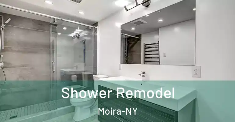 inner Bathroom imggen Shower Remodel Moira-NY