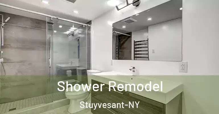 inner Bathroom imggen Shower Remodel Stuyvesant-NY